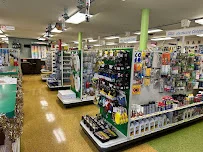 The Brain Lumber Co - Flooring showroom 2