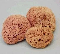 Aegean Sponge Co - Flooring showroom 1