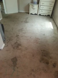 A Kleener Image - Flooring preview 1