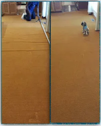 Carpet Restretch Repair - Flooring showroom 2